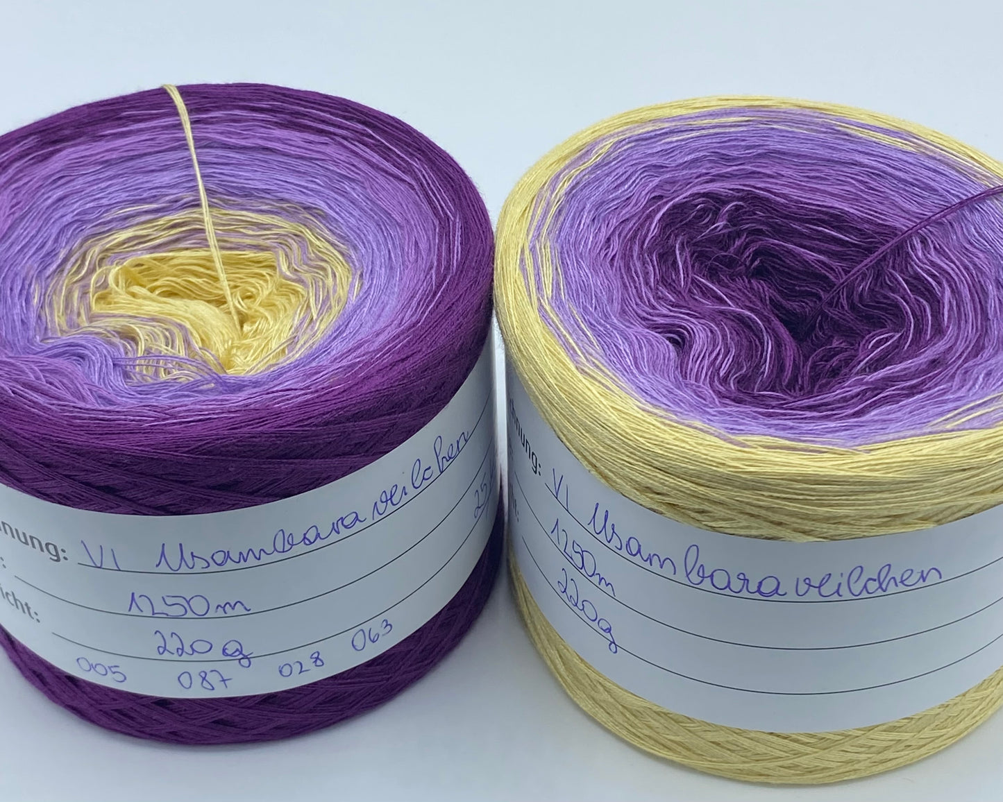 VI Usambara Veilchen