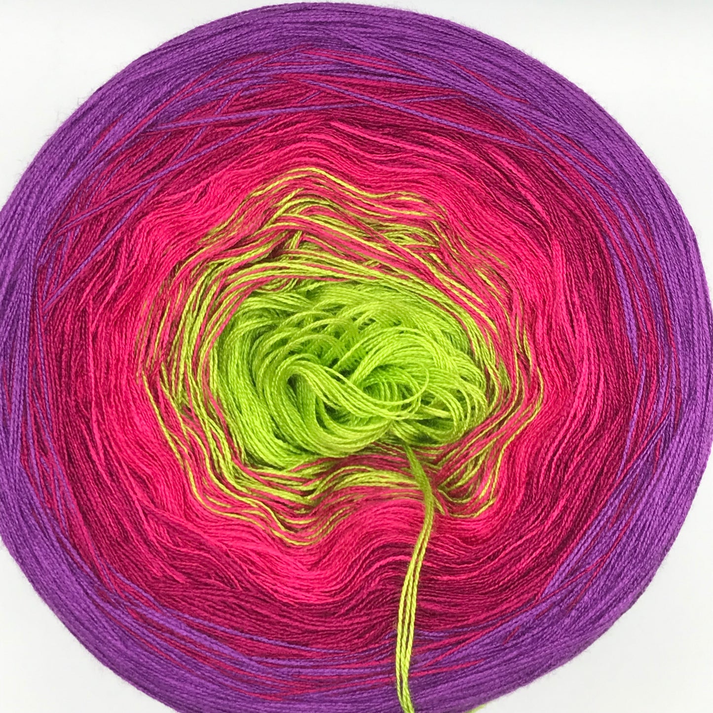 VI Drachenfrüchtchen